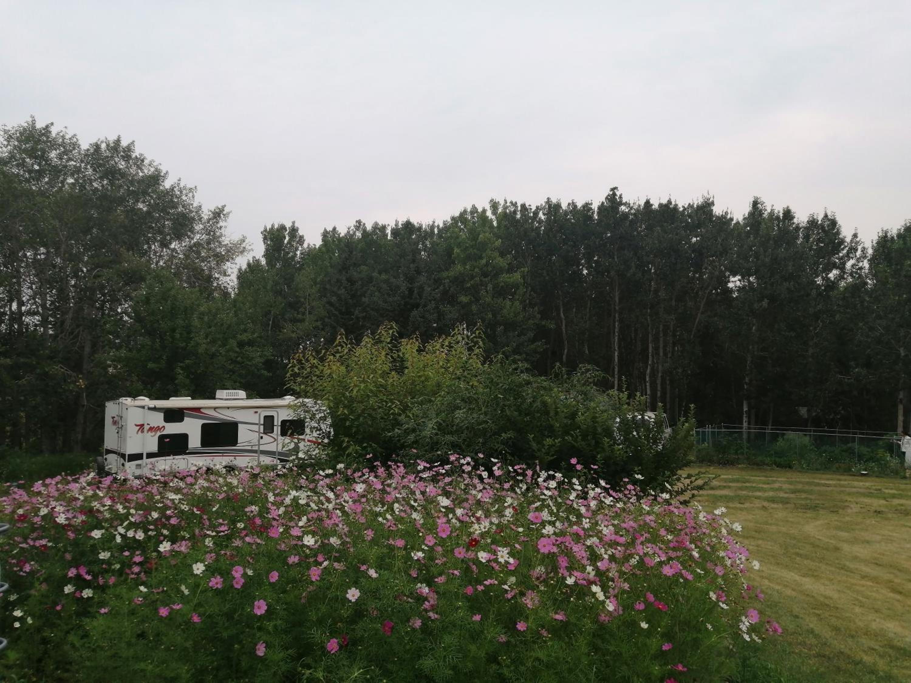 Green Village