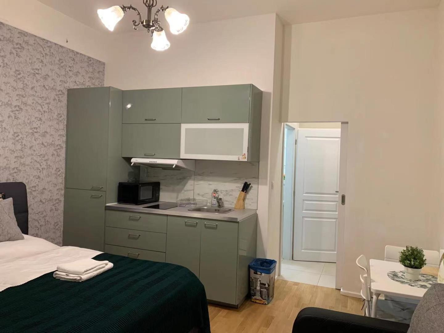 Charles Square Prague Apartment
