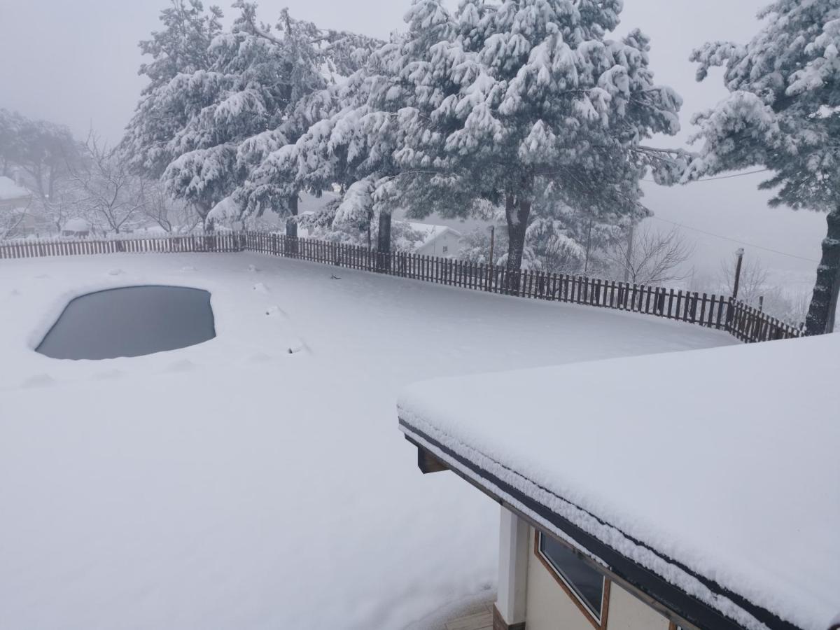 Al Casereccio photo 3