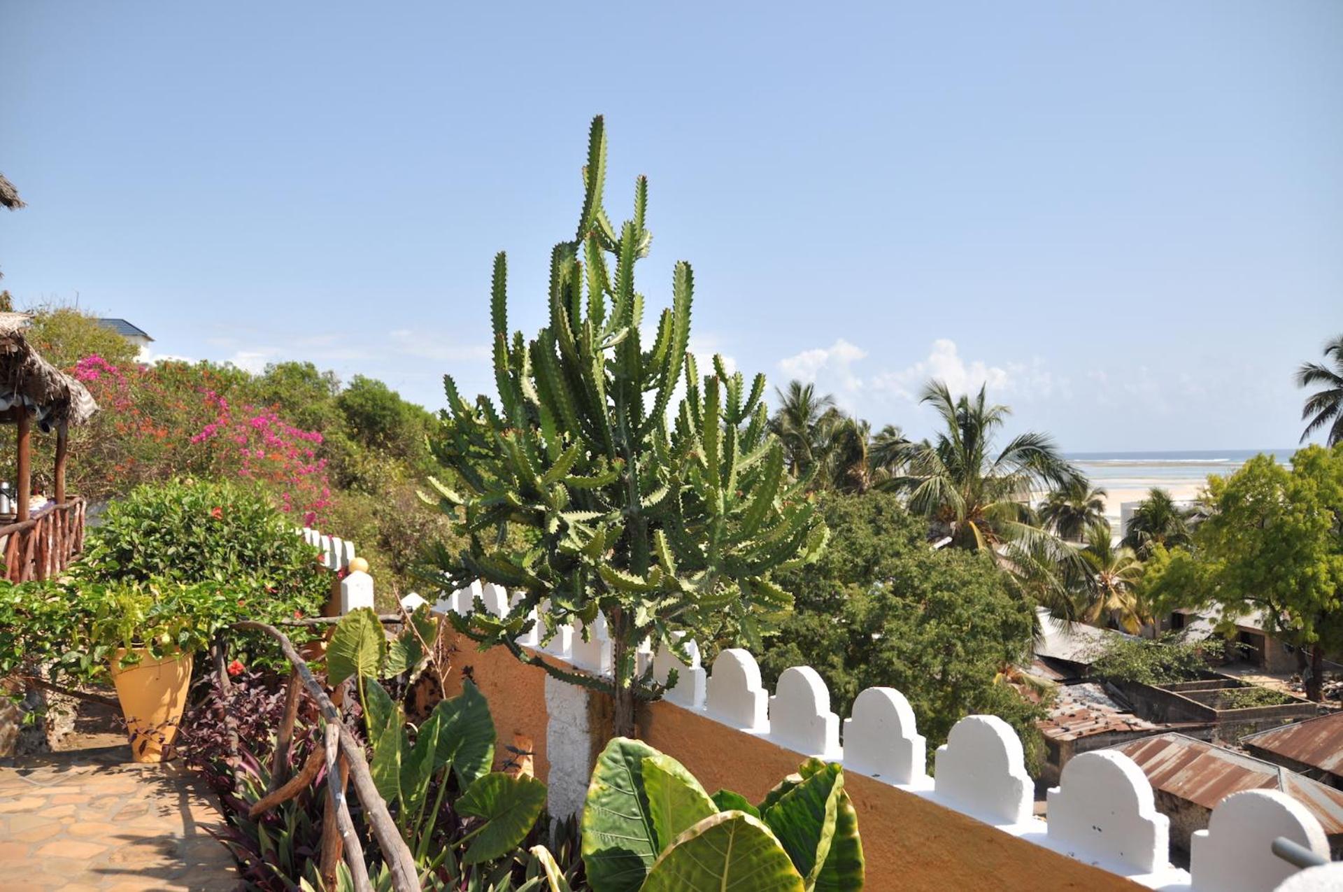 Kiwengwa Vacations - Zan View Hotel - Property Image 45