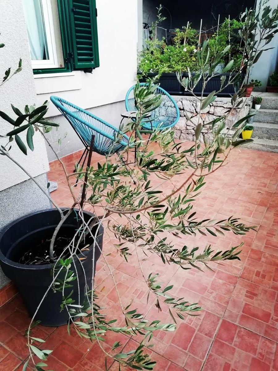 Photo 46