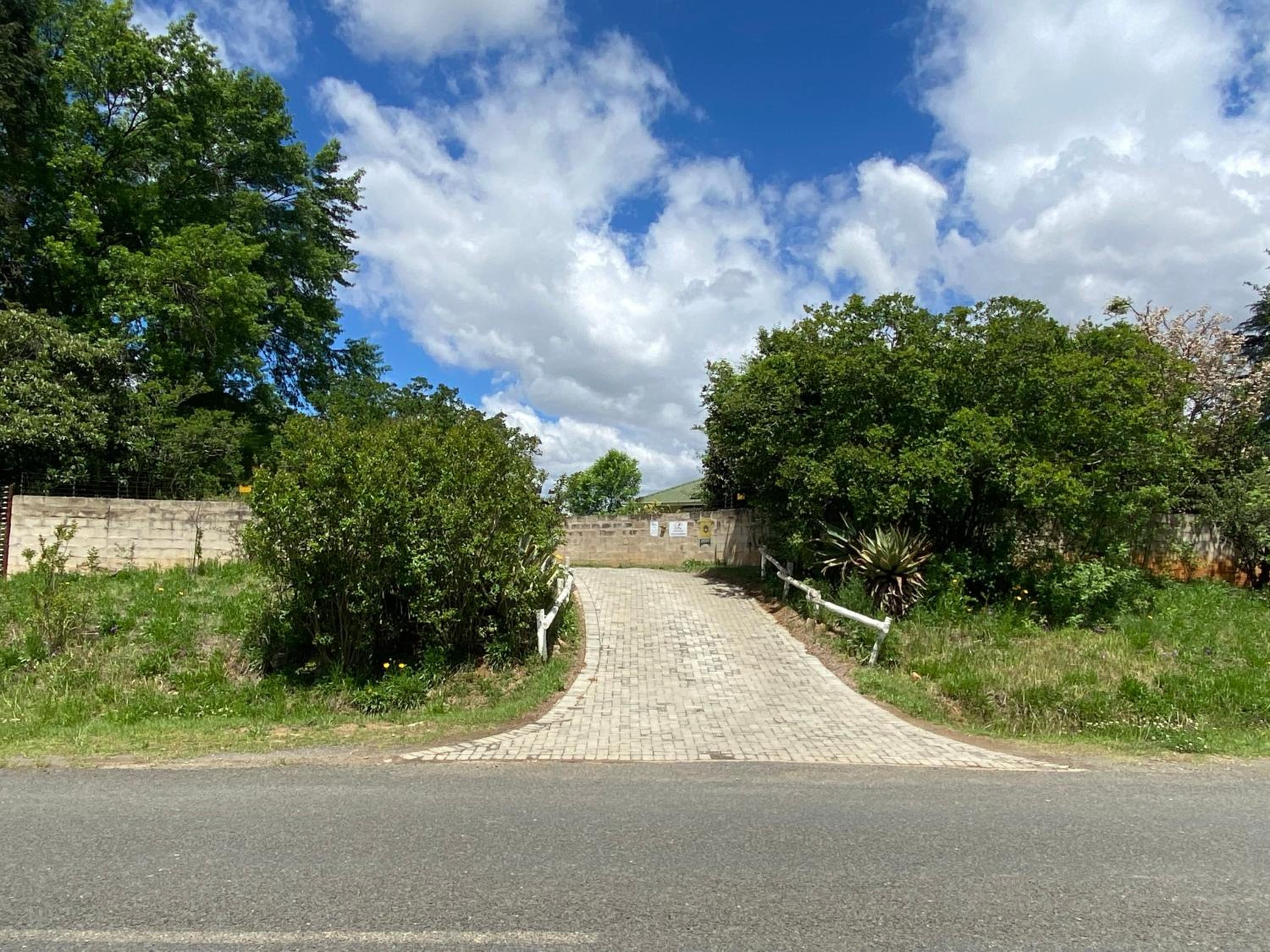 Photo 45