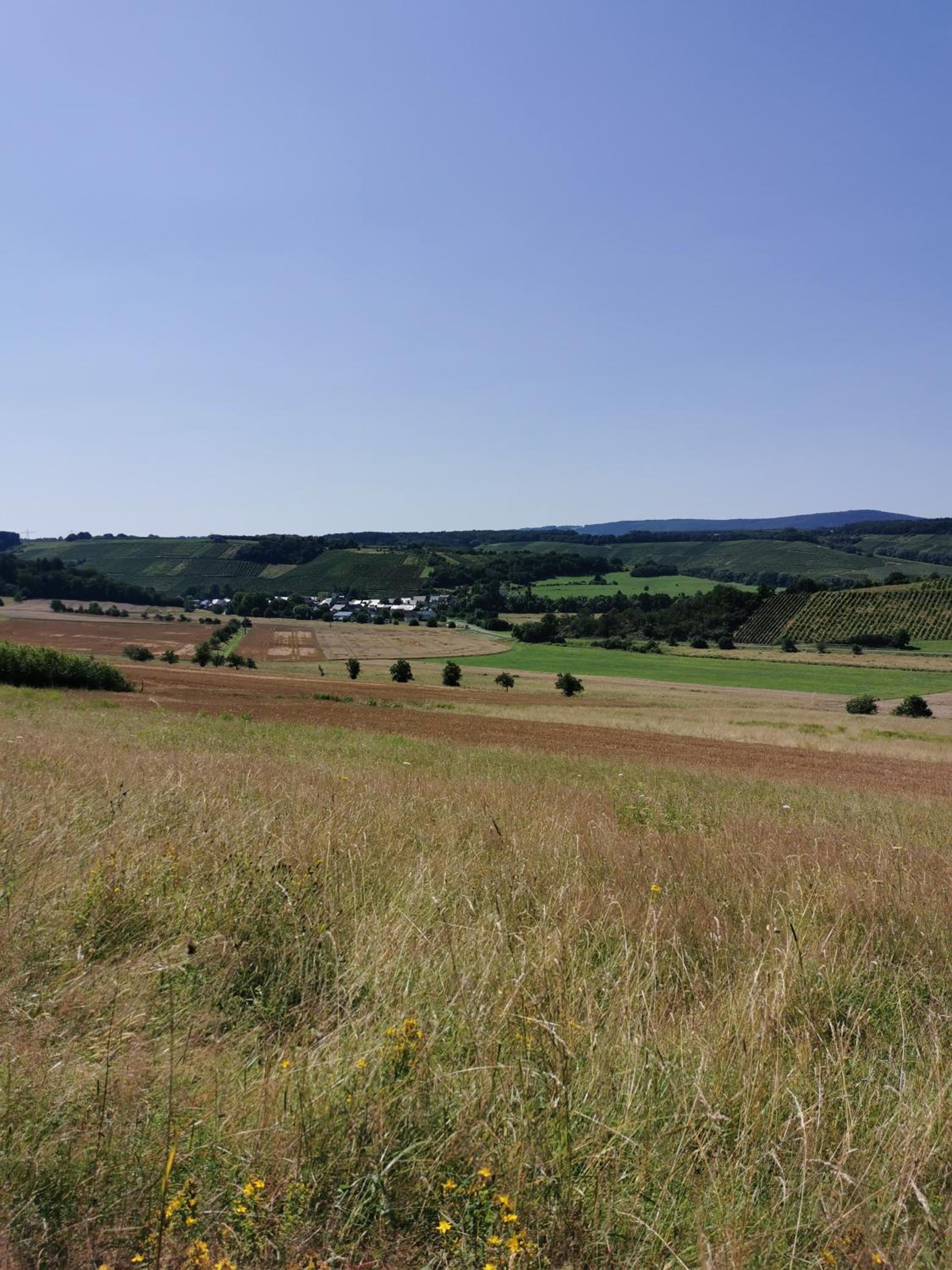 Am alten Winzerhof