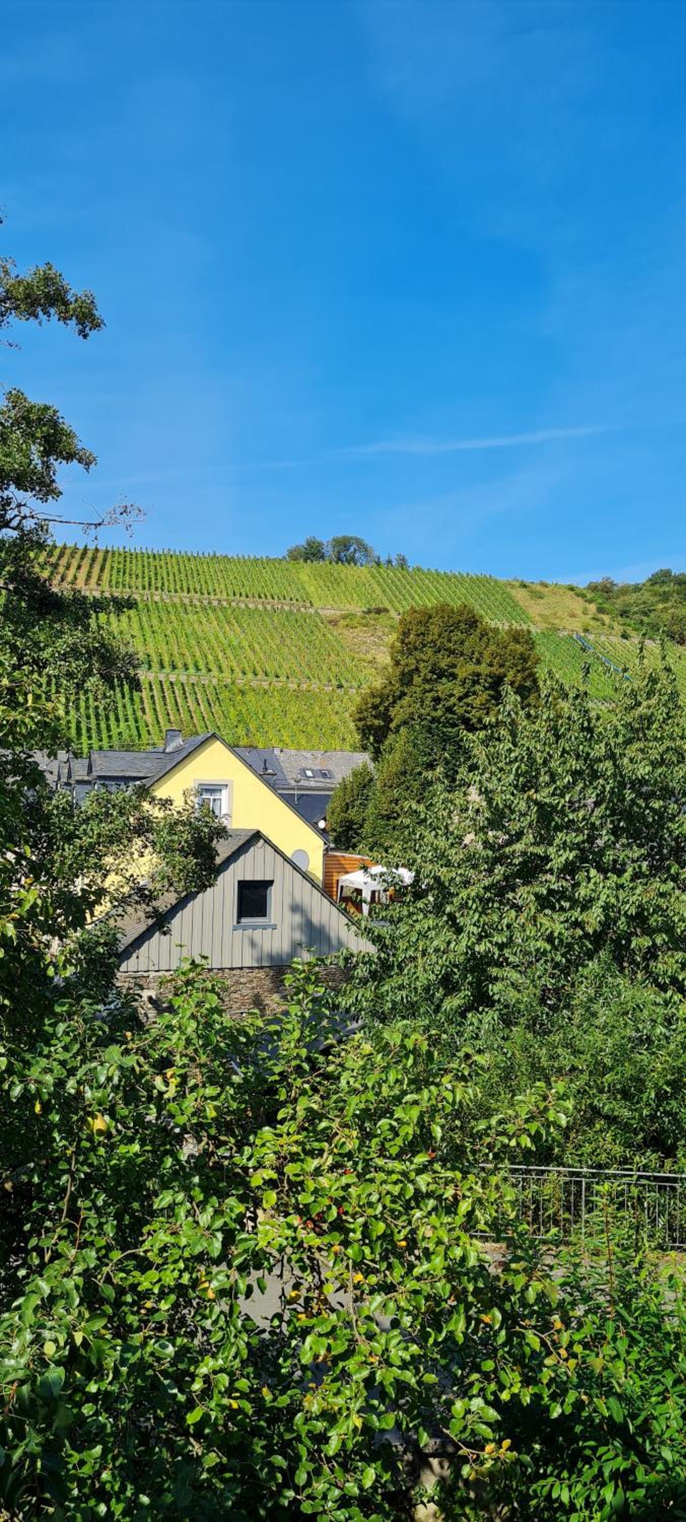 Am alten Winzerhof