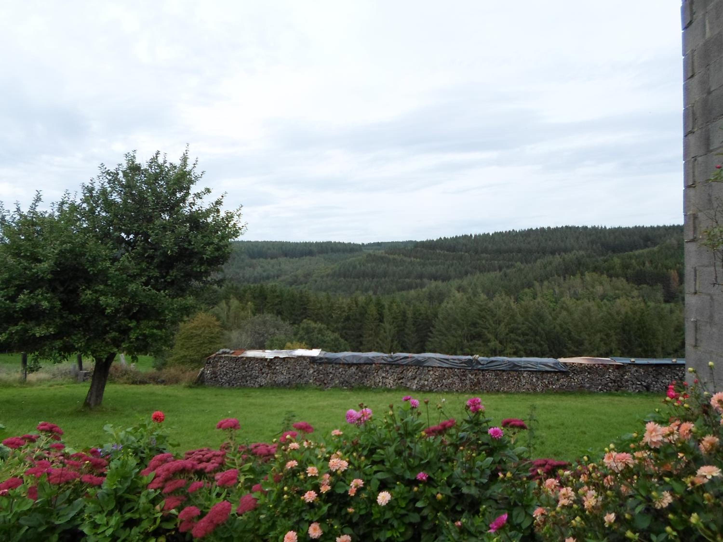 Le fenil