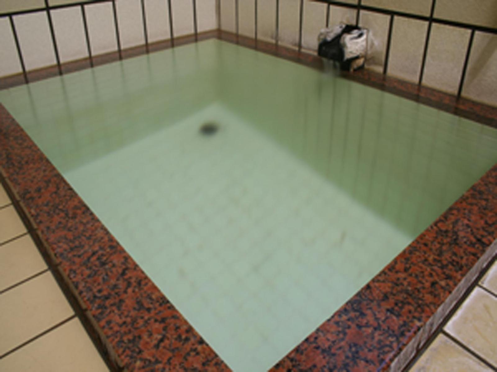 Sakaenoyu Ryokan