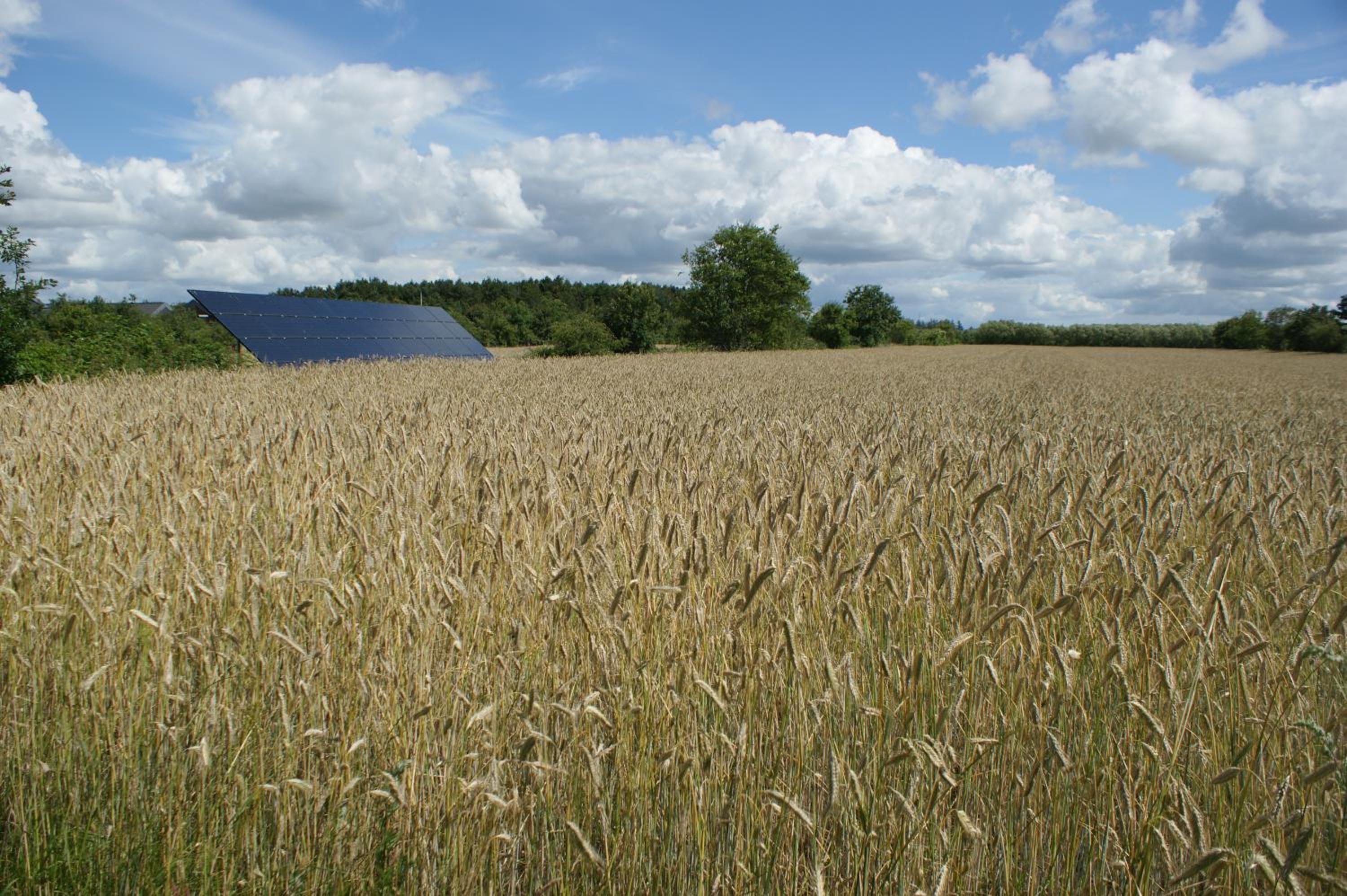 Lustrup Farmhouse view 5