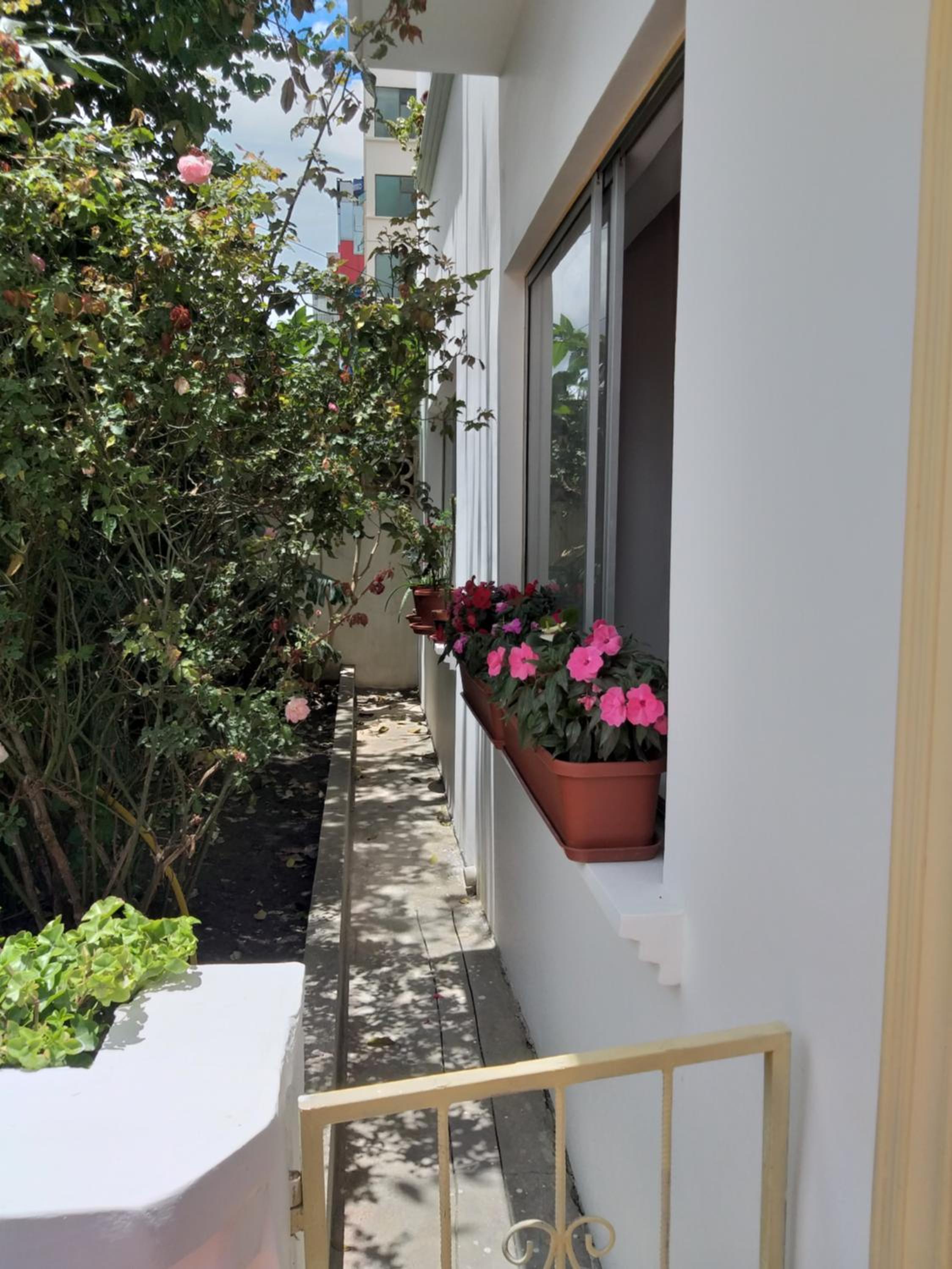 Photo 23