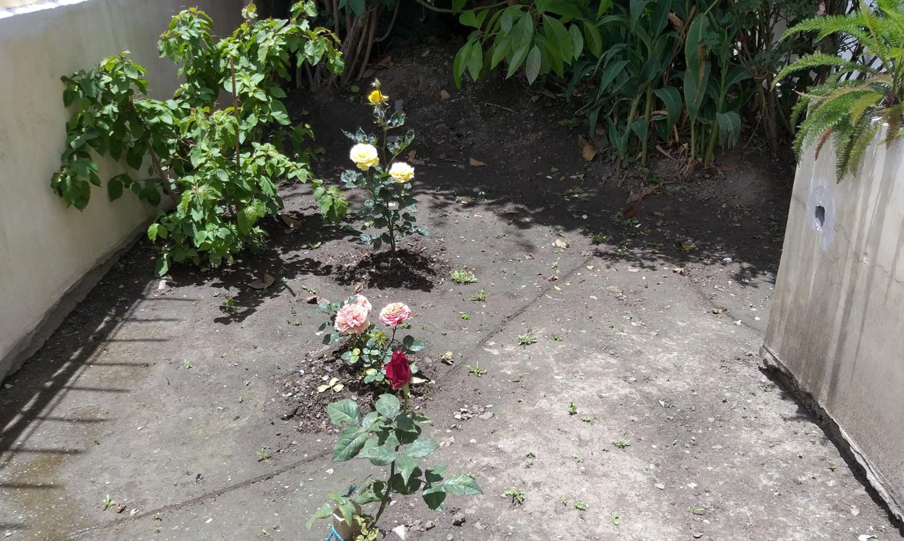 Photo 22