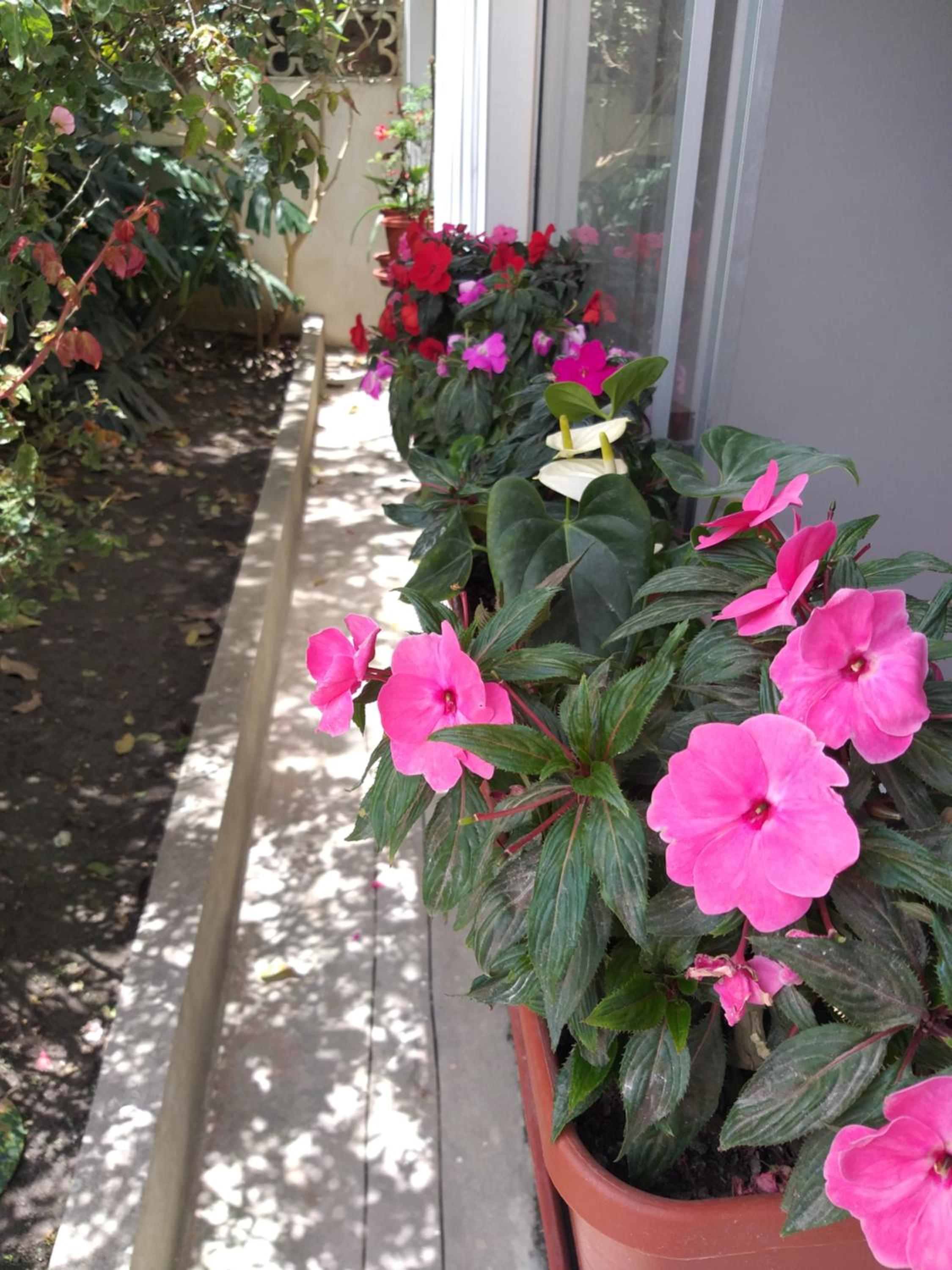 Photo 24