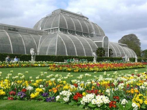 Kew Studios and Rooms