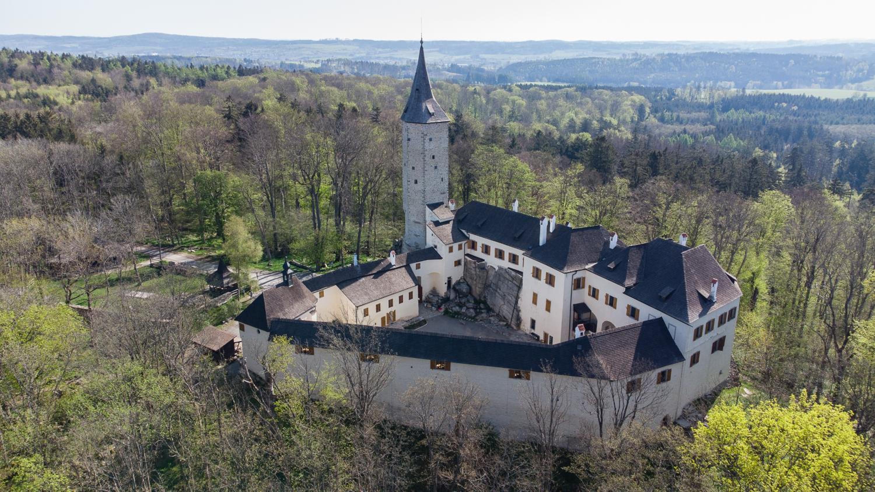 Penzion David
