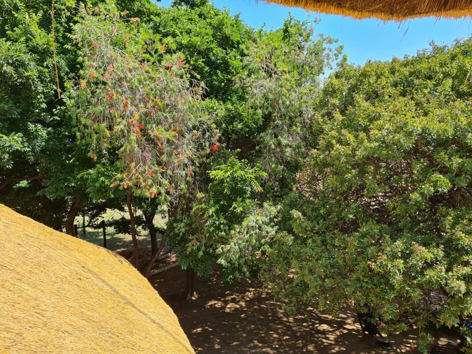 Khaya Africa Guesthouse