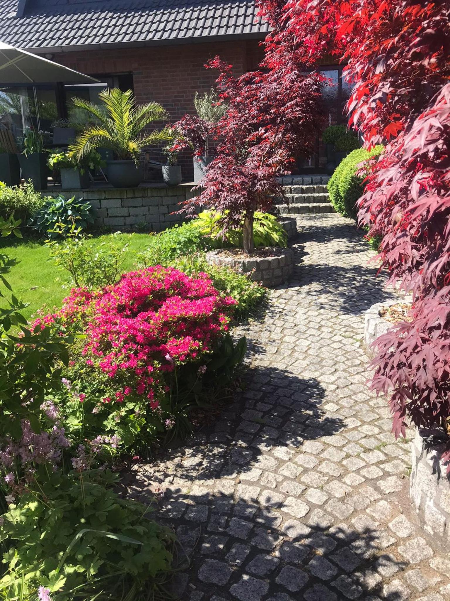 Heidenest en Schneverdingen — other