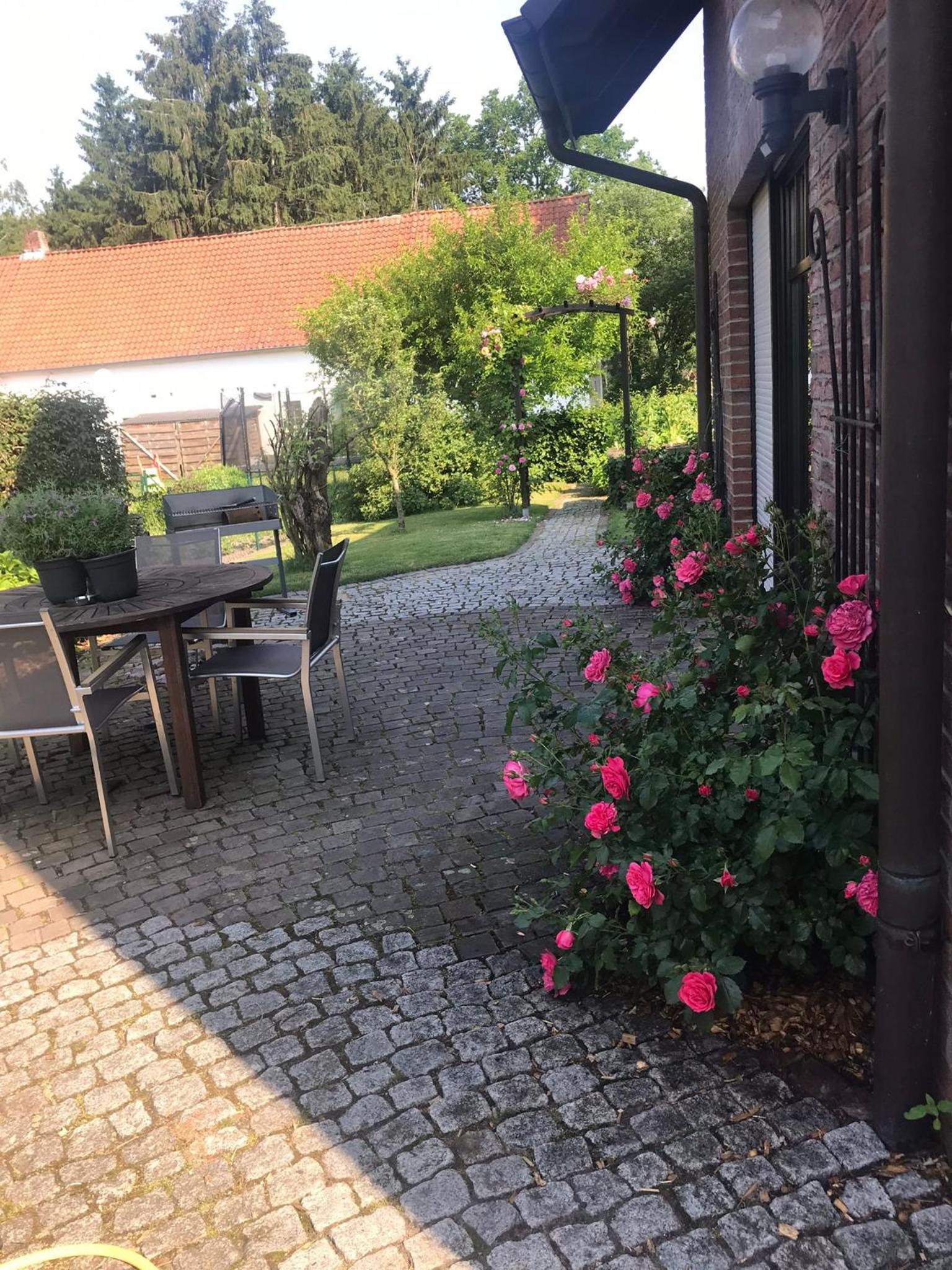 Heidenest en Schneverdingen — other