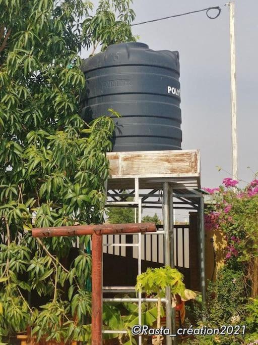 Résidence des hibiscus-roses: jardin, piscine...