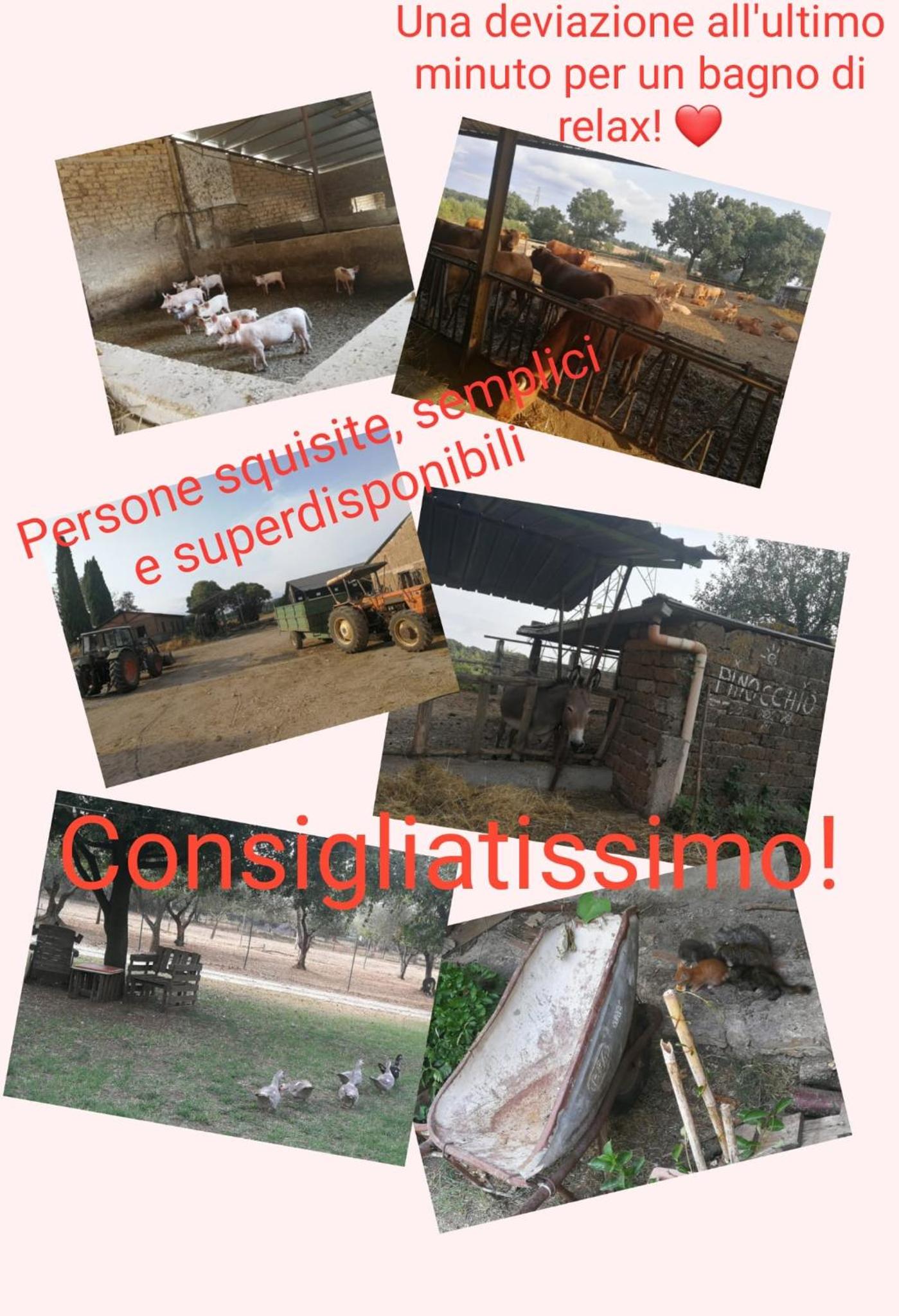 Biobagnolese Agriturismo