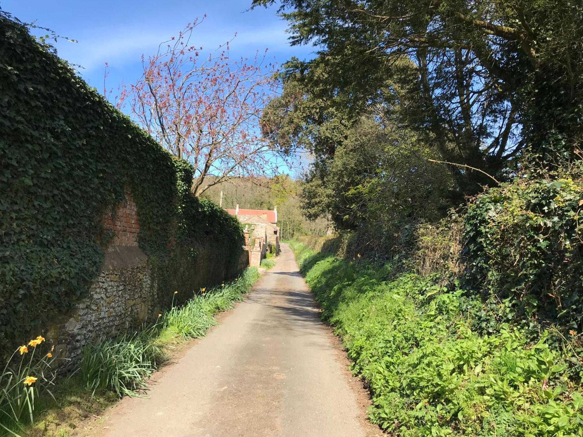 Sycamores Barn - Detached, Private, Secluded Country Retreat view 4