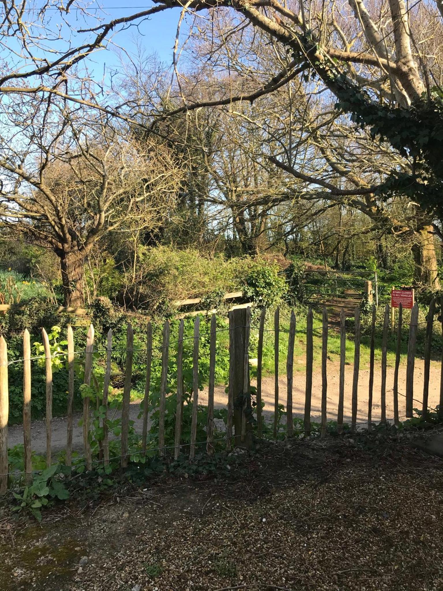 Sycamores Barn - Detached, Private, Secluded Country Retreat view 5