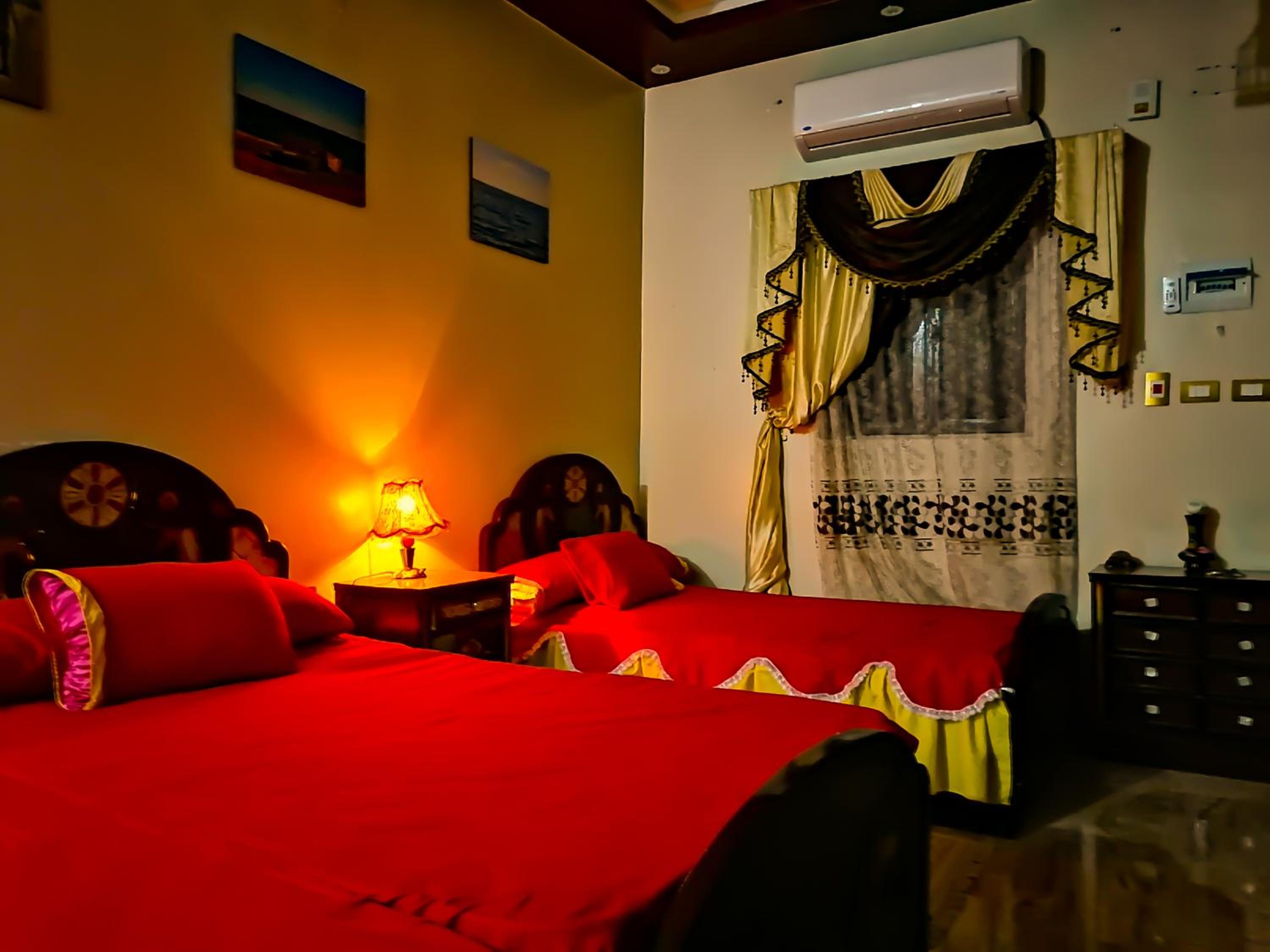 Safari Abu Simbel - Image 4