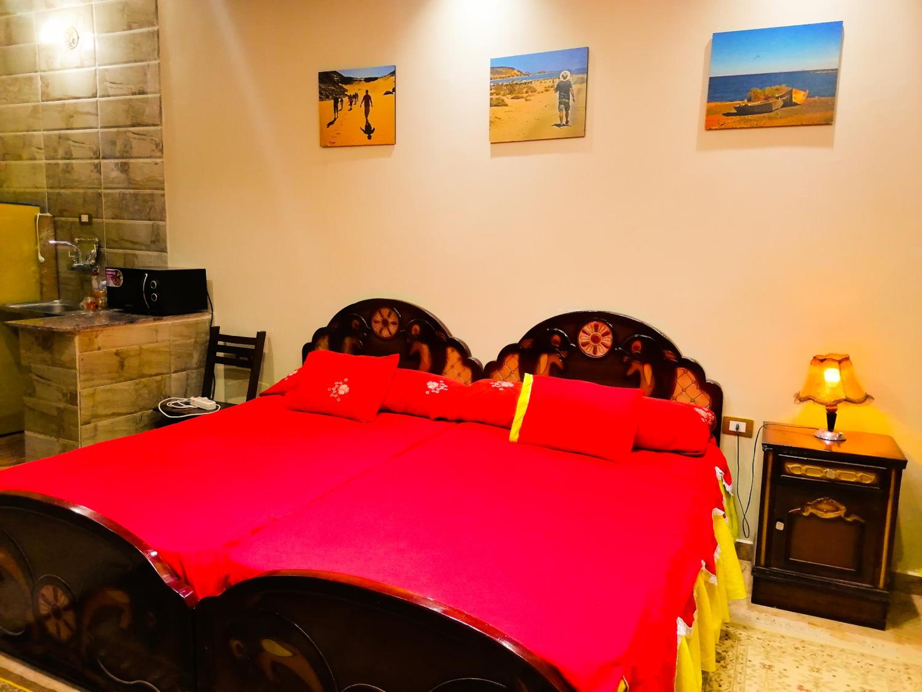 Safari Abu Simbel - Image 5