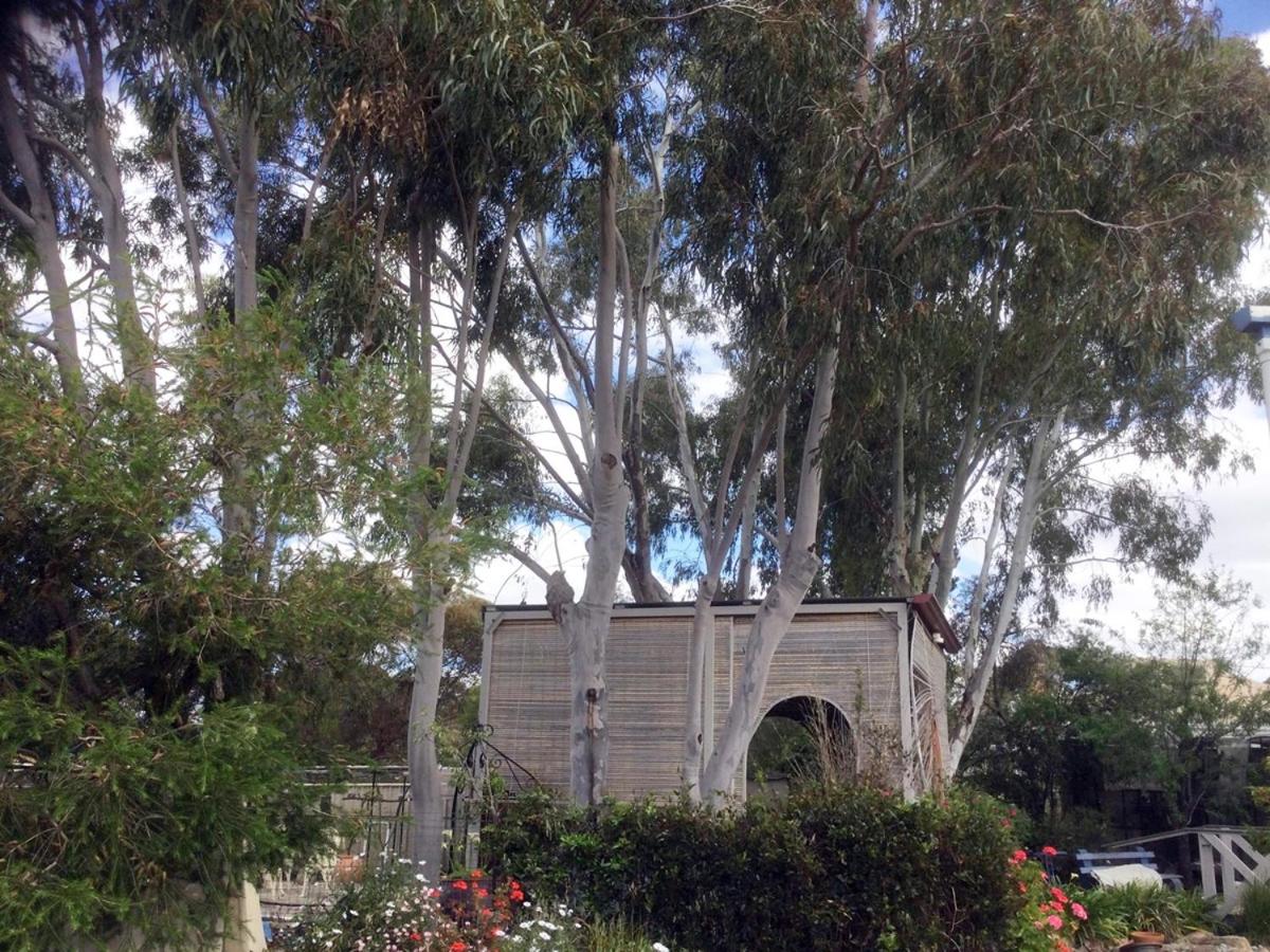 Wagin Cottage Garden Bed and Breakfast