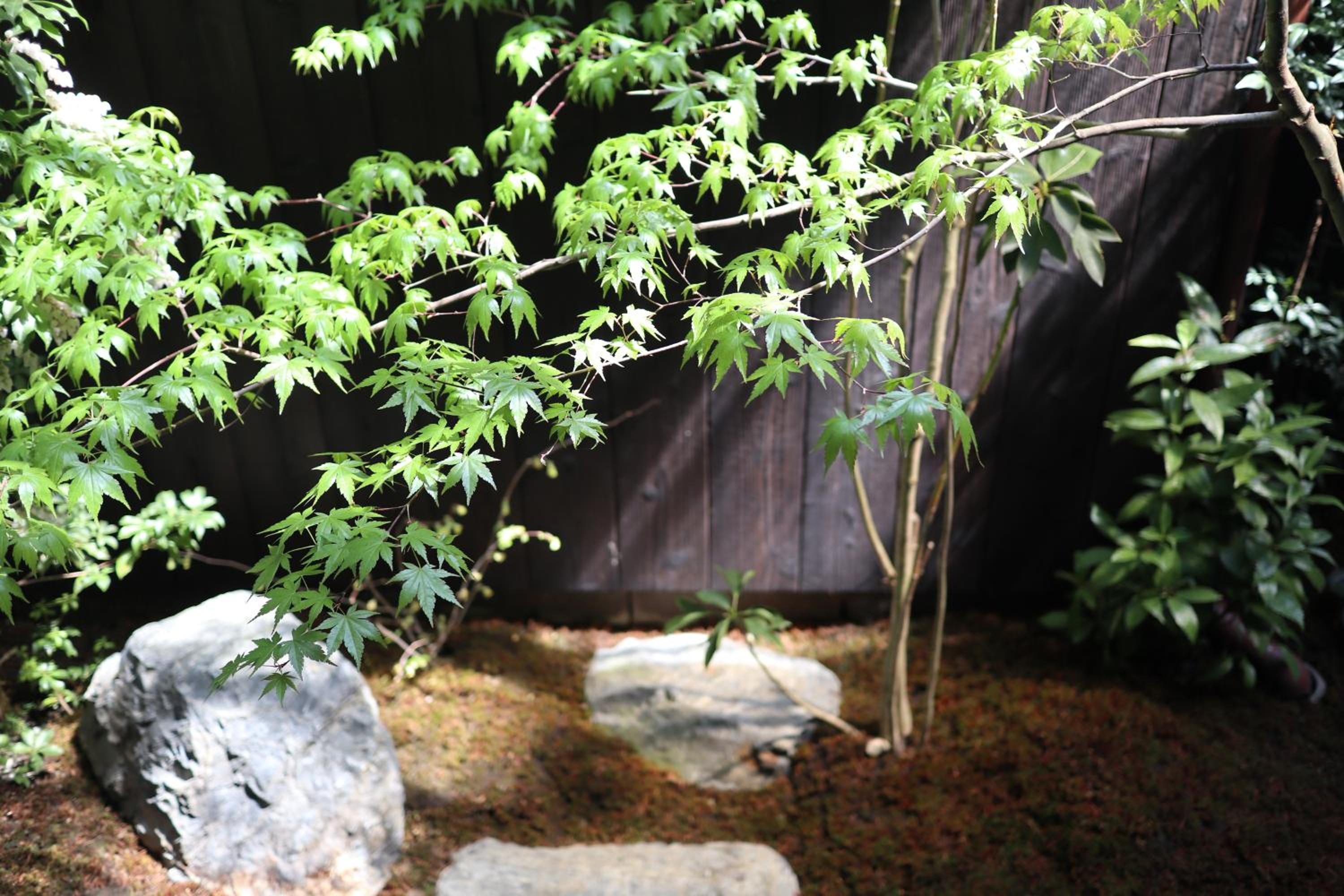 OKI's Inn