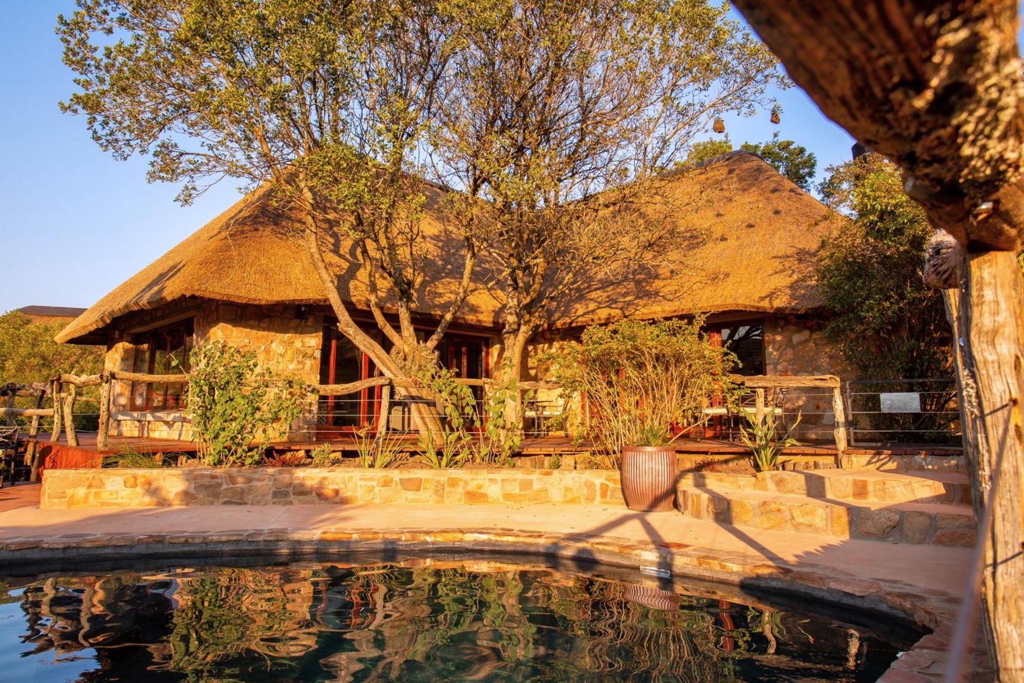 Lalibela Wildlife Reserve - Mark's Camp Family Lodge view 3