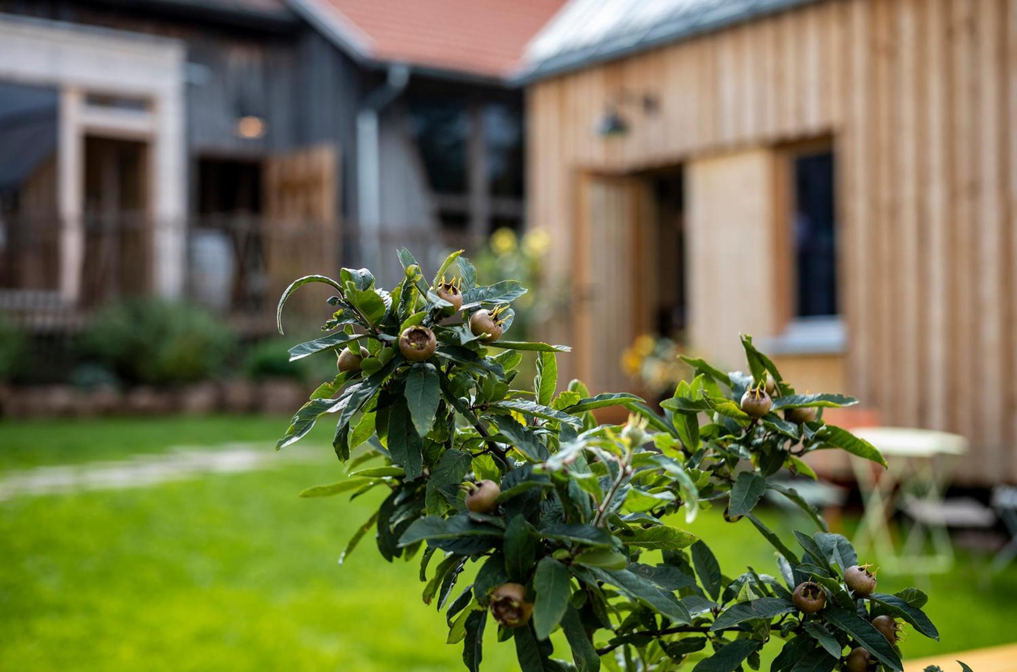 Tiny Houses der Dorfscheune