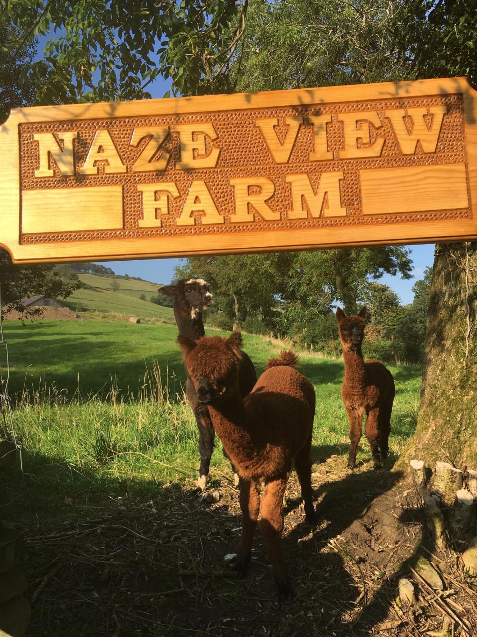 Naze View Barn - Cosy, with all mod cons view 2