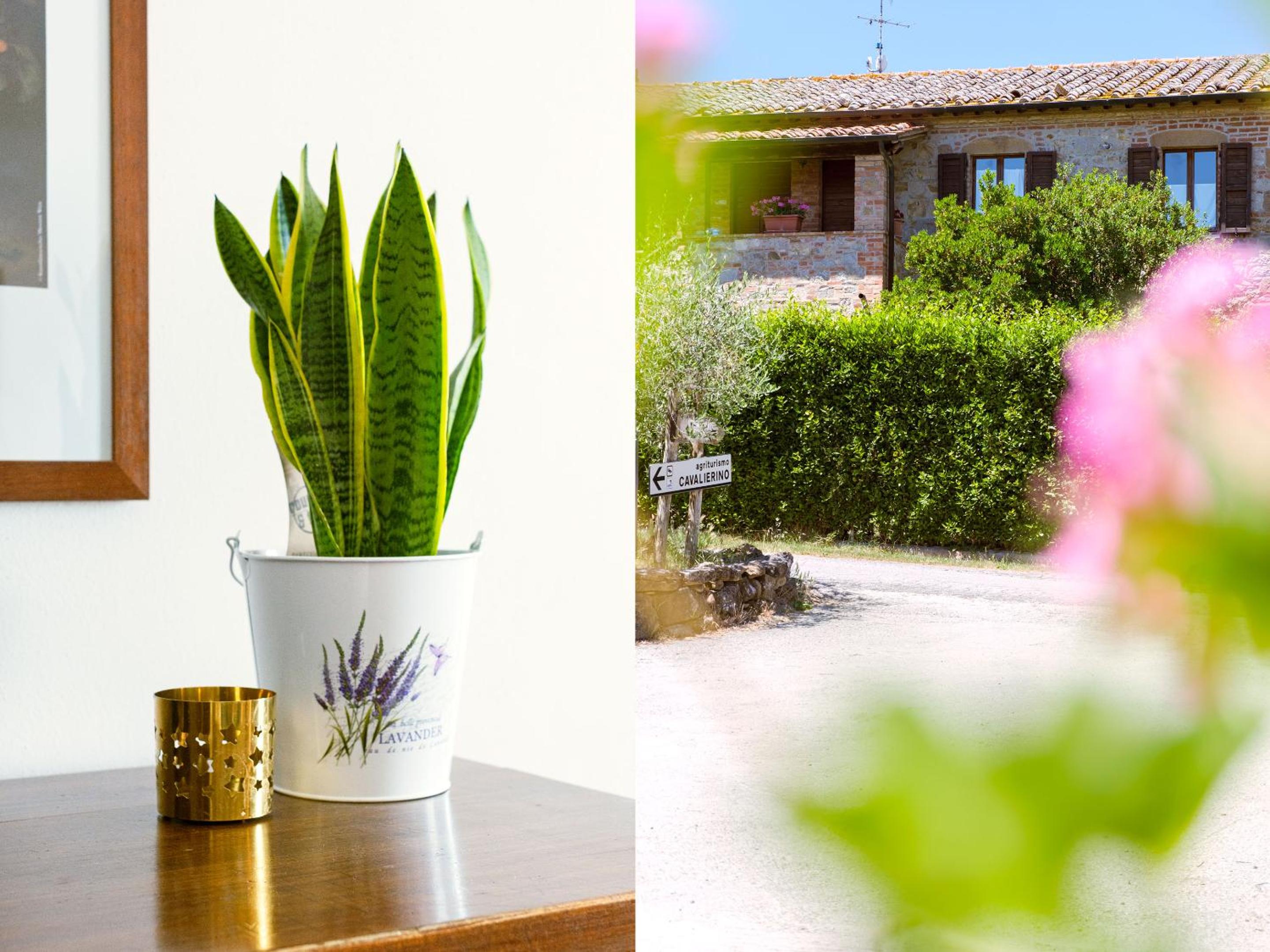 Agriturismo Cavalierino