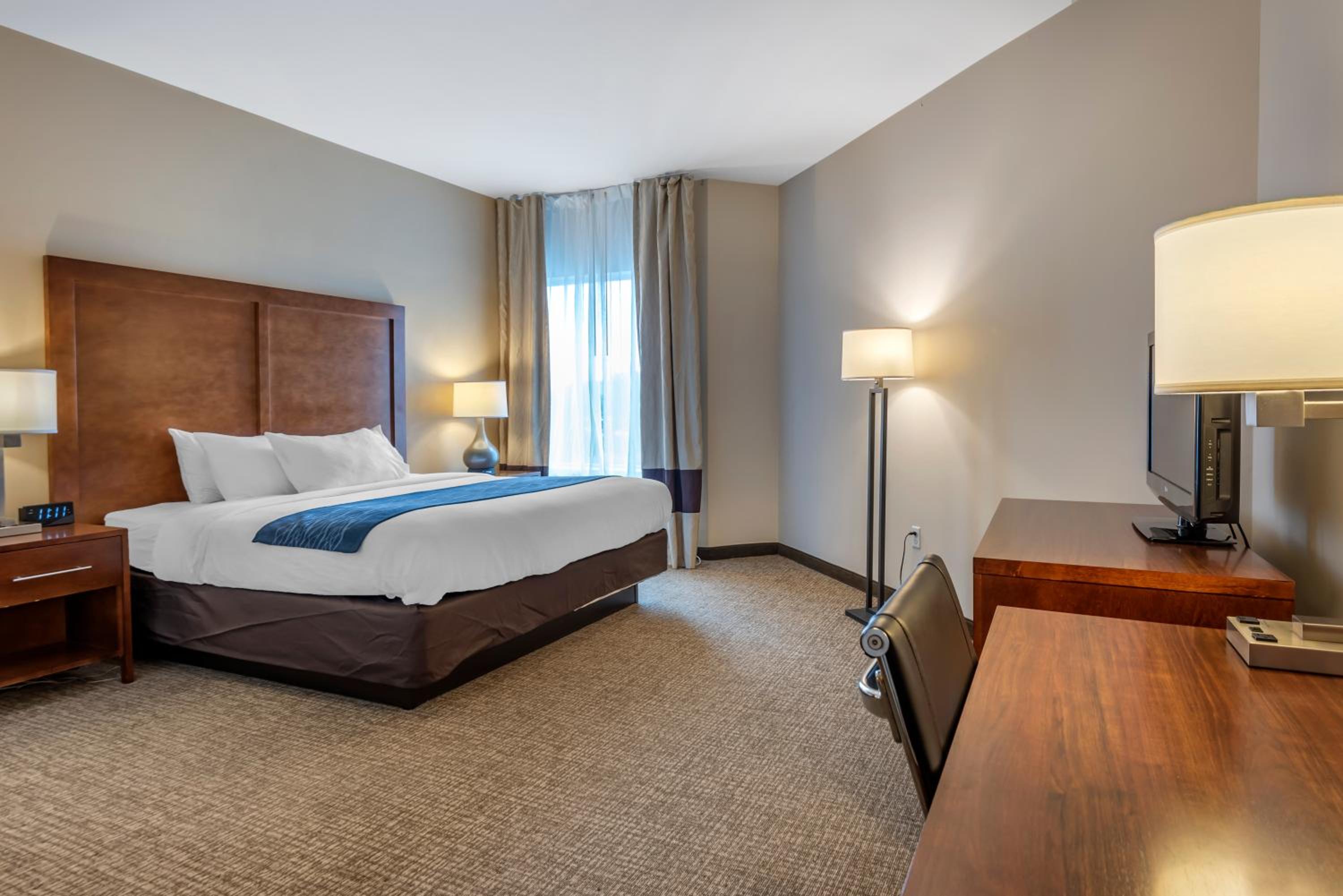 Comfort Inn Apalachin - Binghamton W Route 17