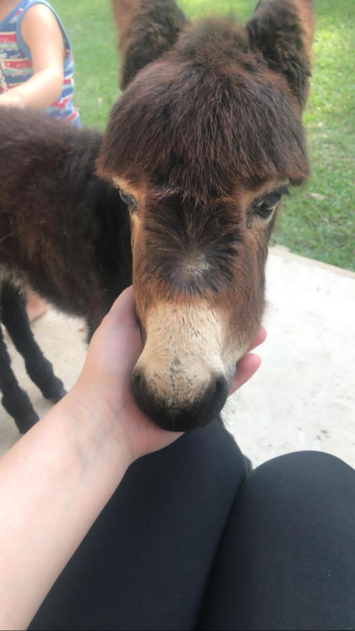 Casa de Campo #Rancho pela saco