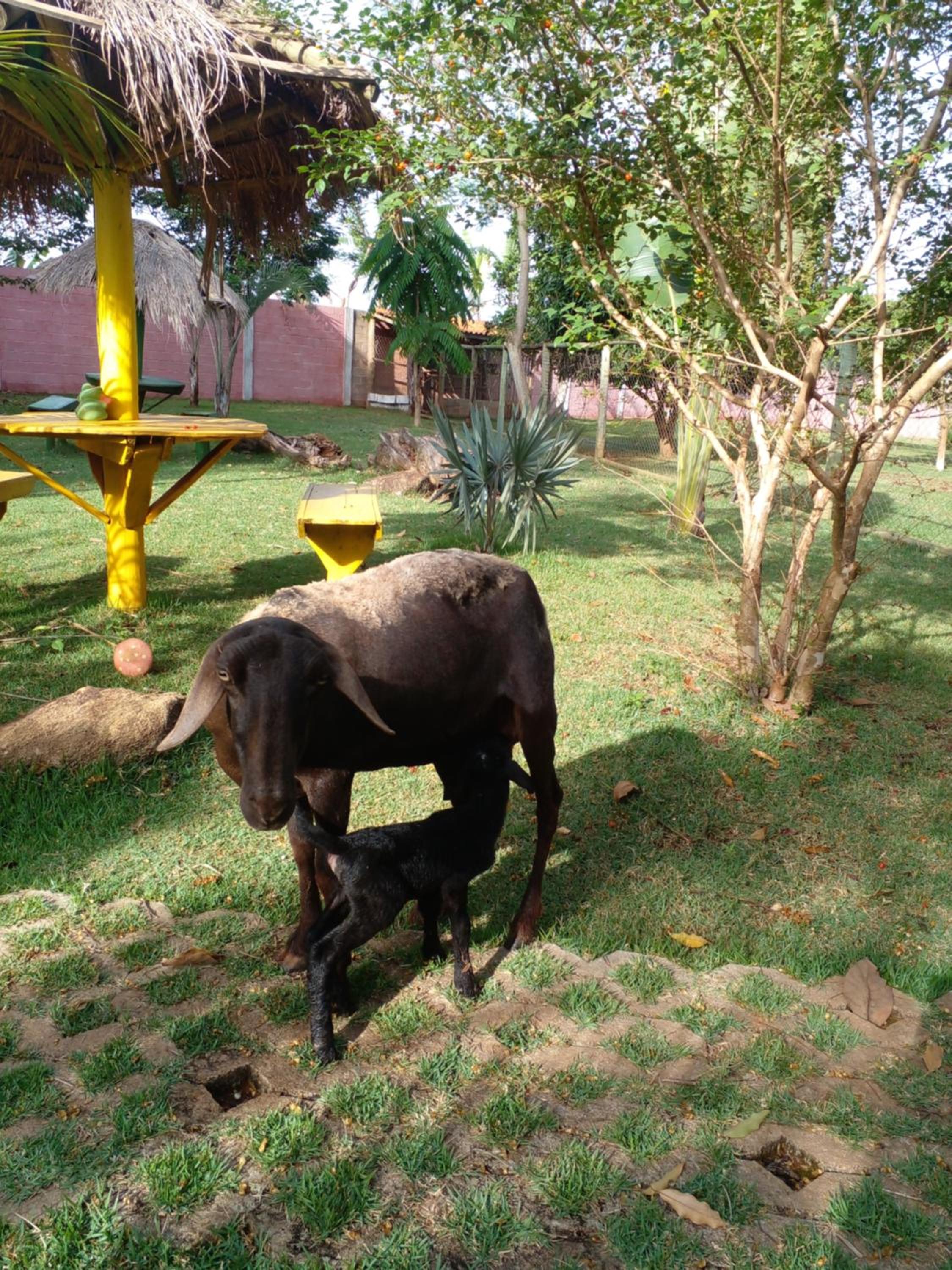 children's play area