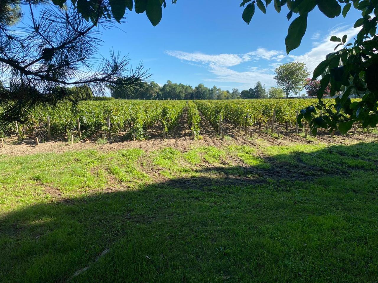 Château La Gravière