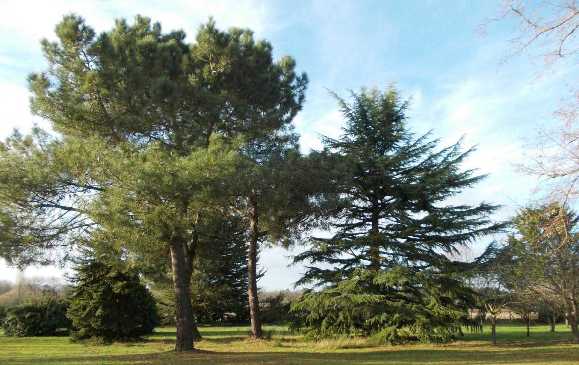 Château La Gravière