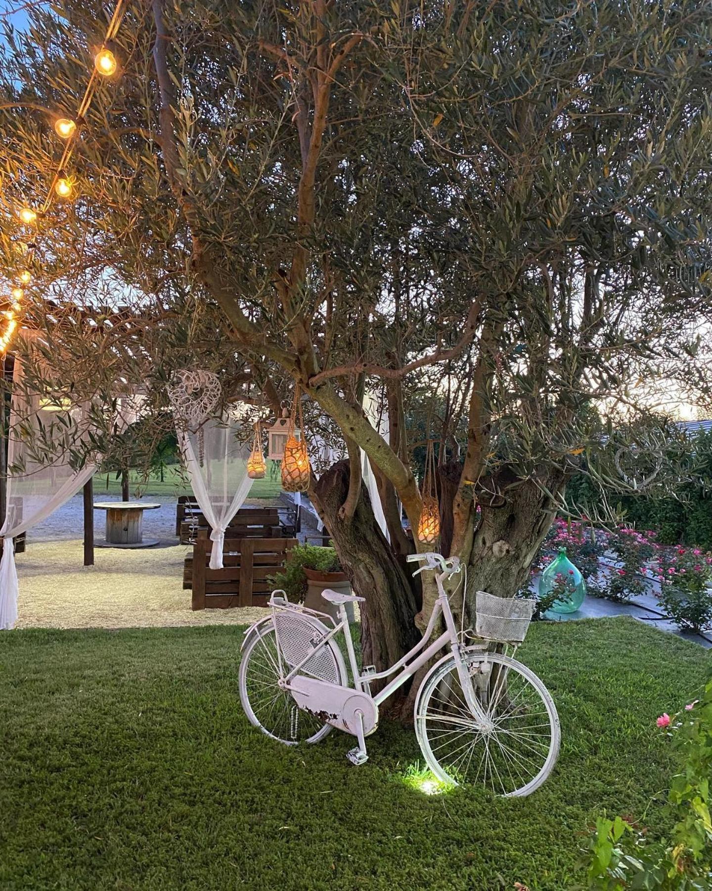B&B Terre di Paestum