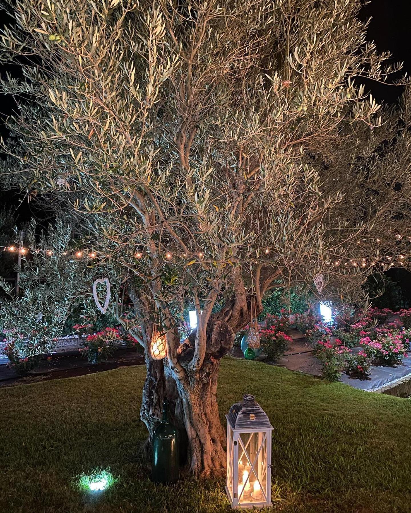 B&B Terre di Paestum