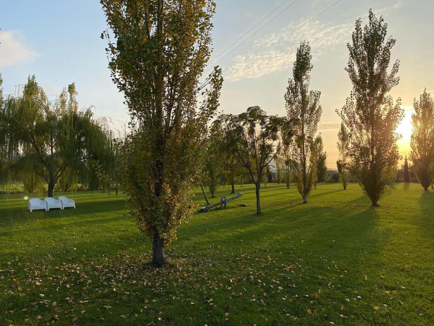 B&B Terre di Paestum