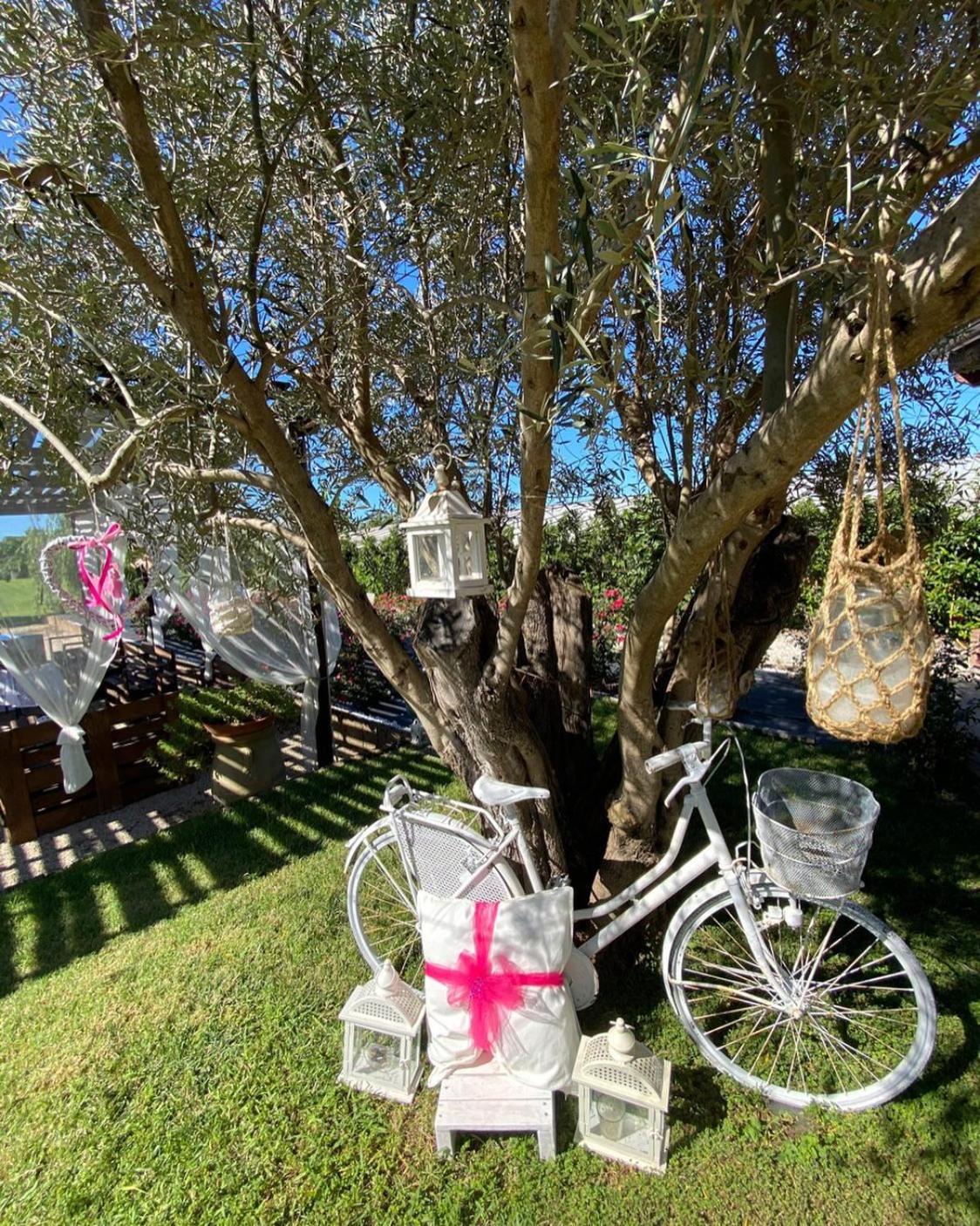 B&B Terre di Paestum