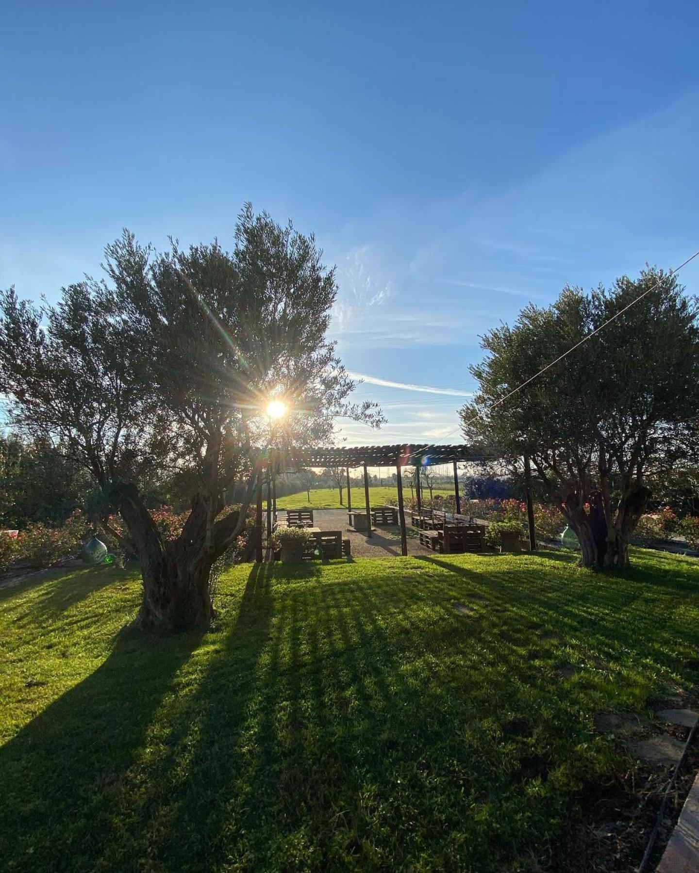 B&B Terre di Paestum