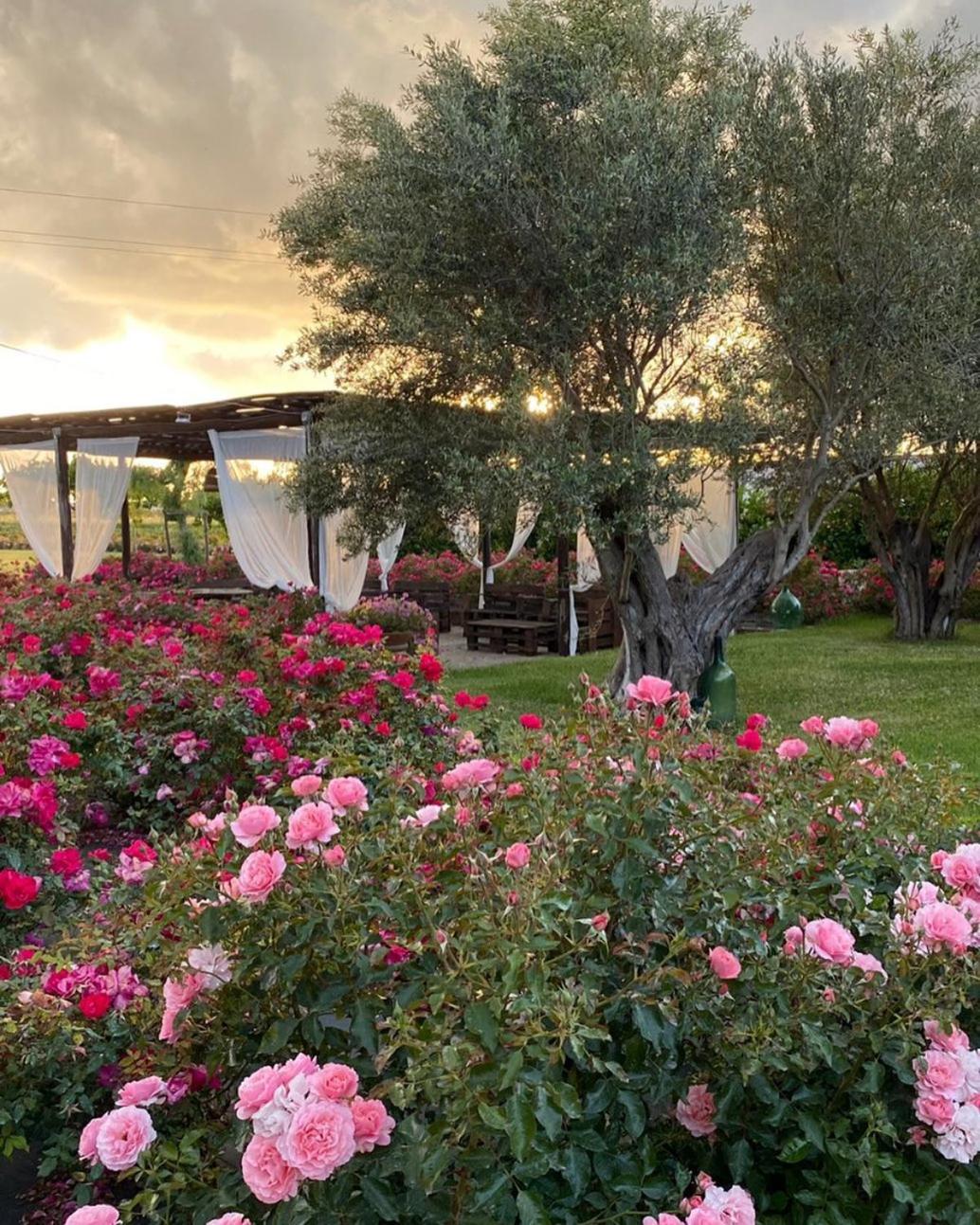B&B Terre di Paestum