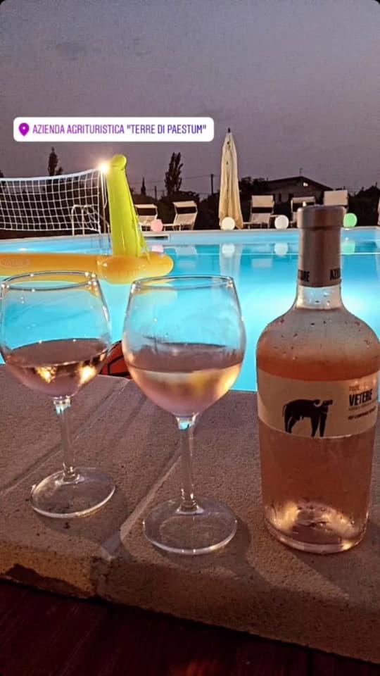 B&B Terre di Paestum