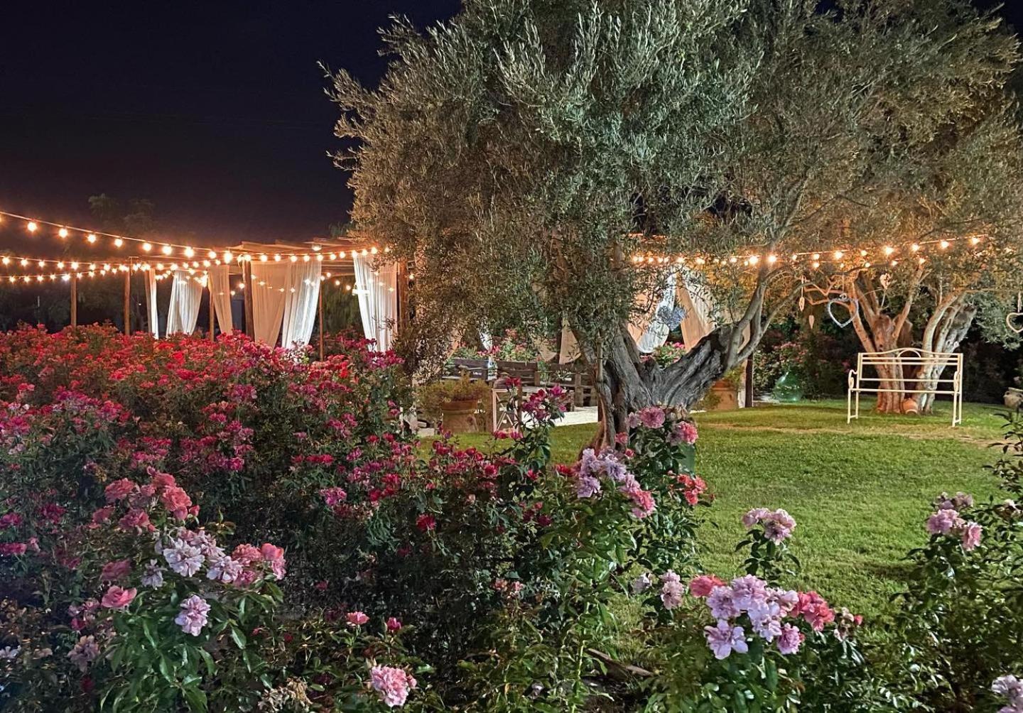 B&B Terre di Paestum