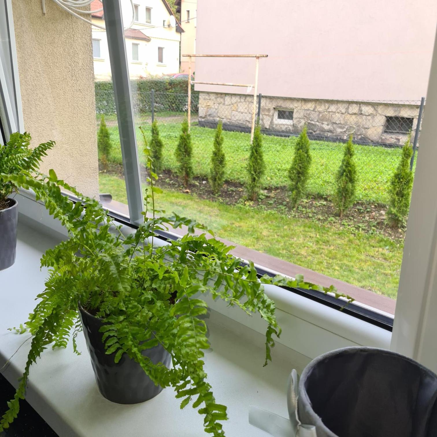 APARTAMENT PRZY RONDZIE view 3
