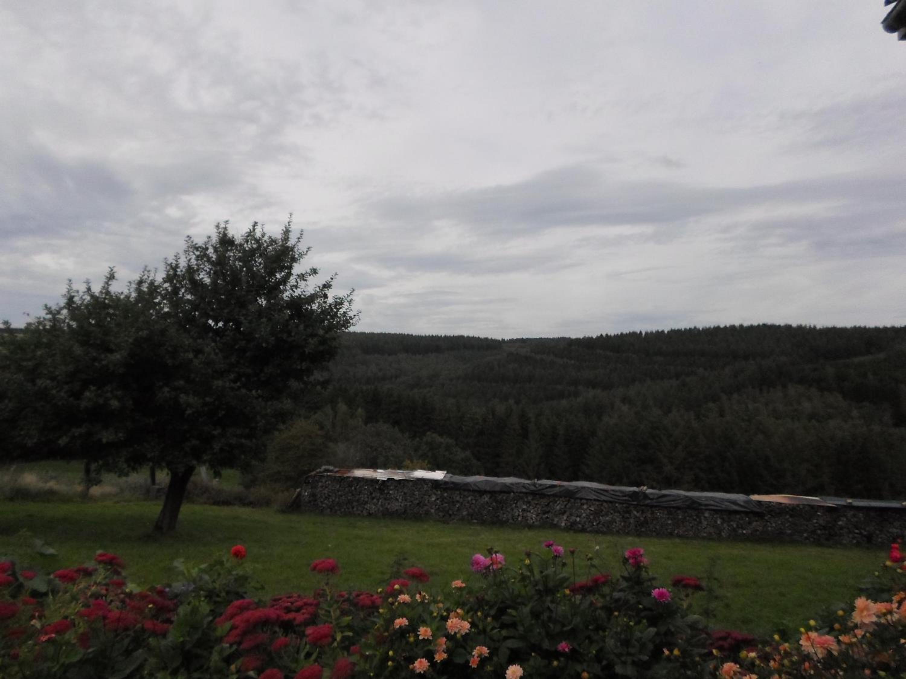 Le fenil
