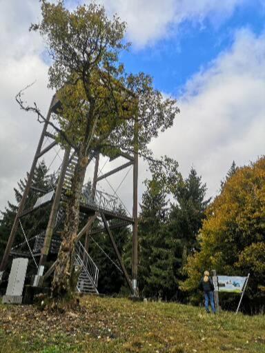 Top Ferienwohnung am Diemelsee, Sauerland Nähe Willingen Winterberg