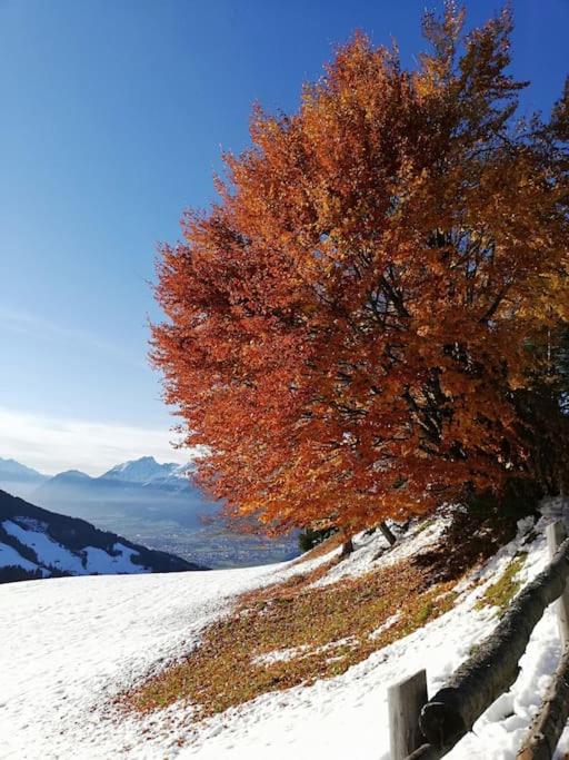 Much`s Bergstüberl