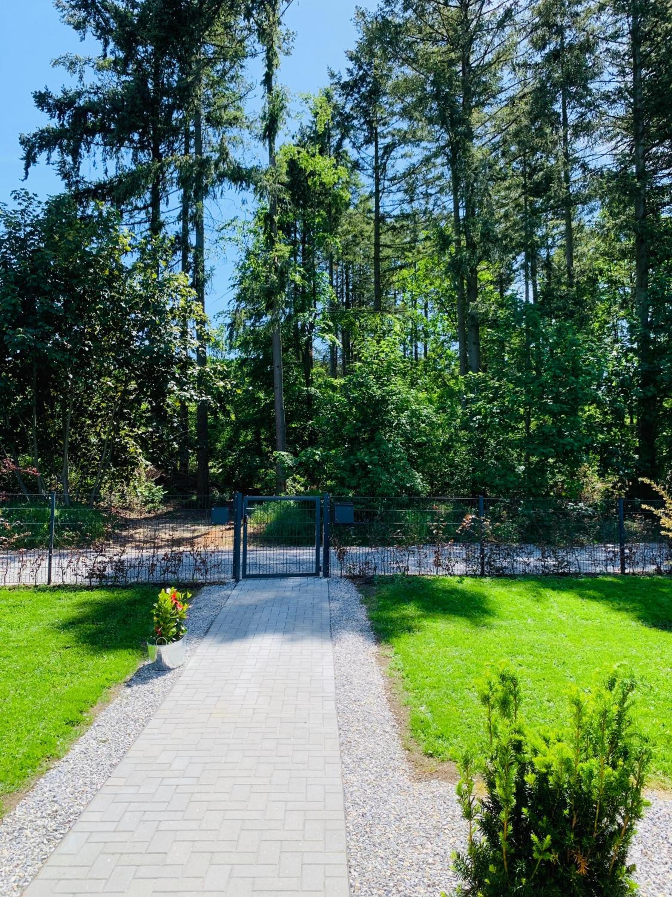 Ferienhaus 2 im Harz Niehoff