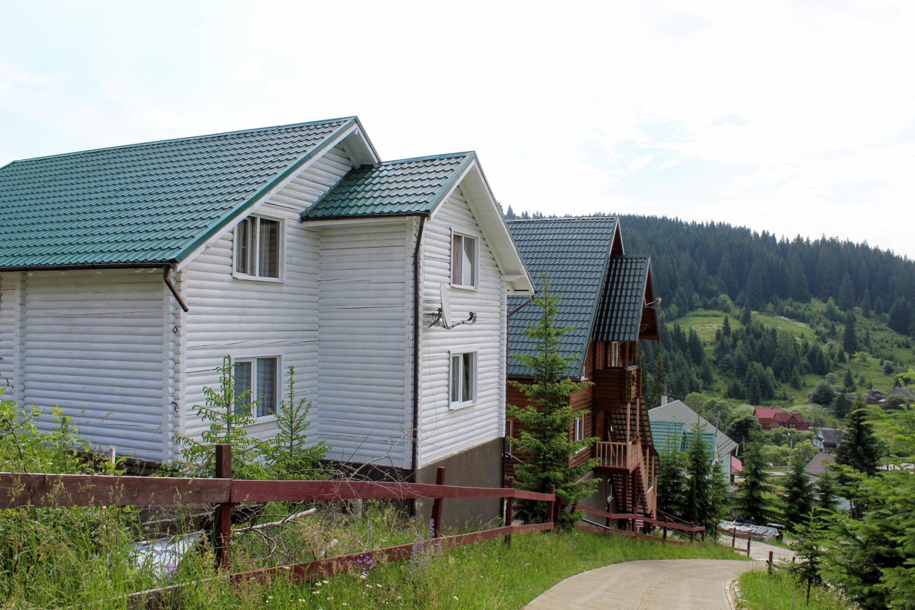 Photo 46